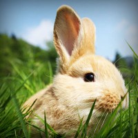 /album/amplia-tu-mente/photolia-a03-jpg/